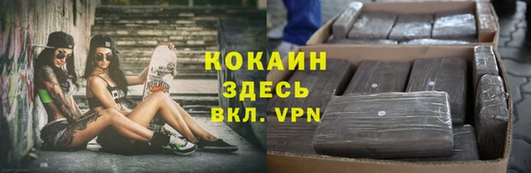 дживик Бугульма