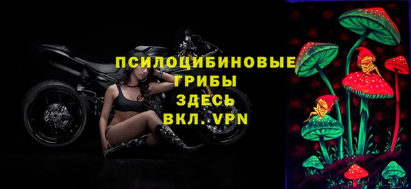 дживик Бугульма
