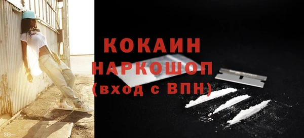 хмурый Богородицк