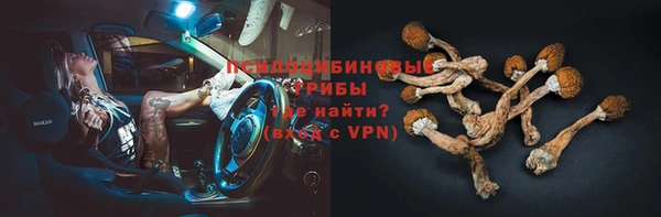 а пвп мука Бутурлиновка