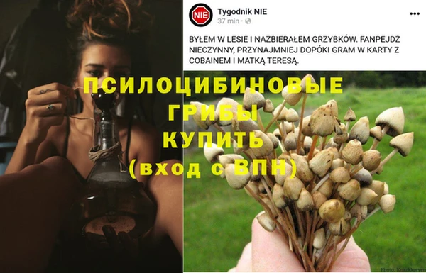 крисы Богданович