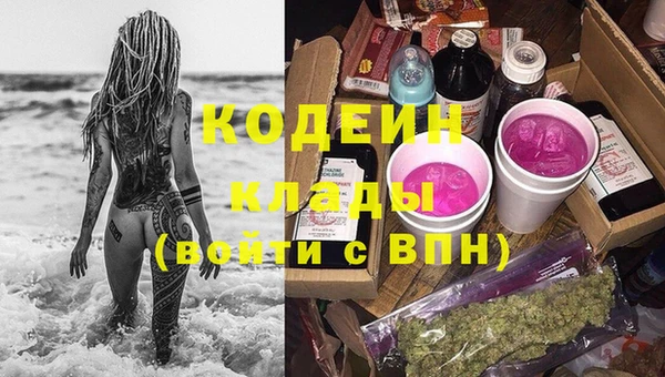 хмурый Богородицк