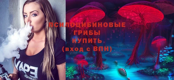 дживик Бугульма