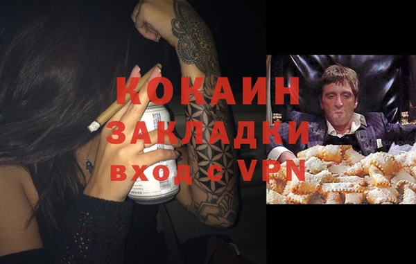 крисы Богданович