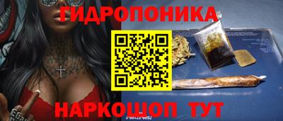 меф Кингисепп