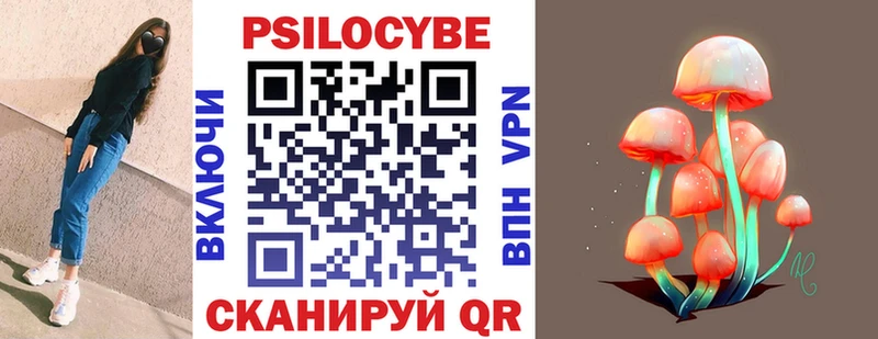 где продают   Горячий Ключ  Псилоцибиновые грибы прущие грибы 
