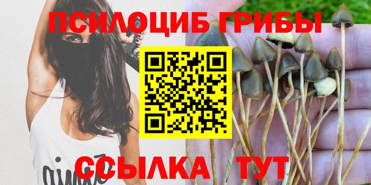 Галлюциногенные грибы Psilocybe Горячий Ключ