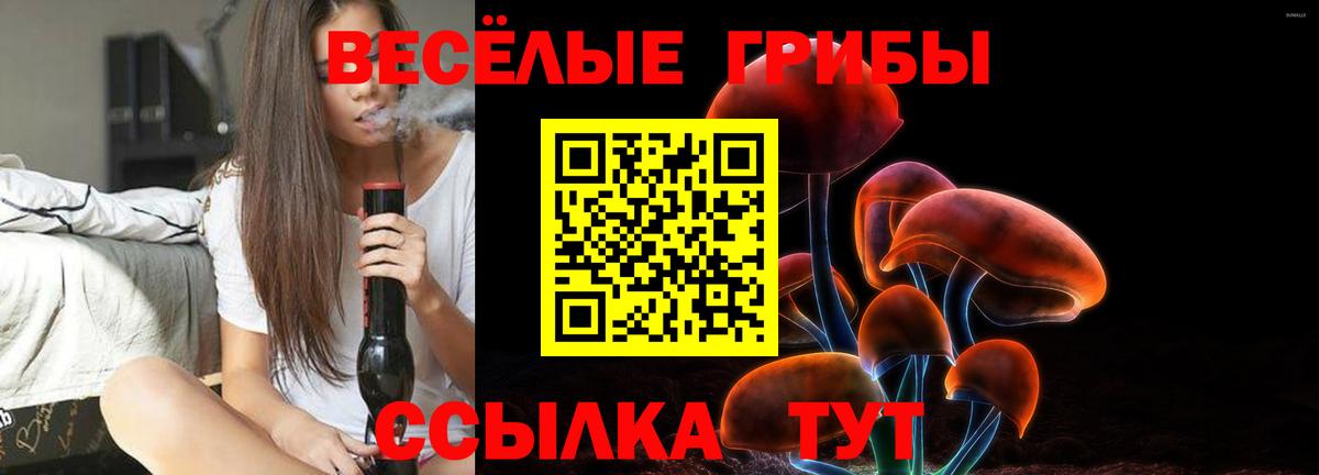 Галлюциногенные грибы Psilocybine cubensis  Вход с VPN  Горячий Ключ 