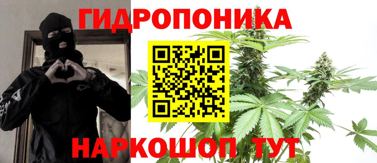 Бошки марихуана марихуана Горячий Ключ